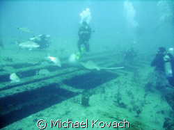 Playing with the stingrays on the Sea Emperor out of Fort... by Michael Kovach 